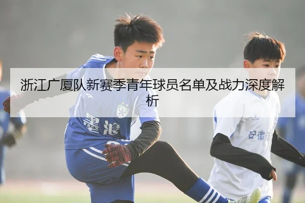 浙江广厦队新赛季青年球员名单及战力深度解析